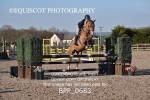 BPP_0683