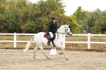 SBM_001169