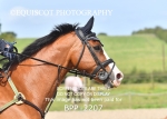 BPP_2207