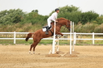 SBM_002379