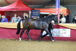 SBM_14958