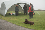 3799 Pole Bank - checkpoint