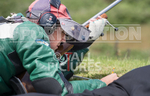 Full Boar Inter-insula_2014-14