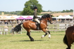 SBM_06914