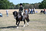 WJ7_3689