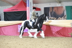 SBM_08629