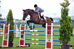 EQUISCOT 9282
