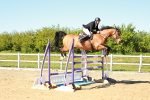 SBM_002064