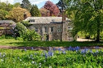 Springtime at Cockington