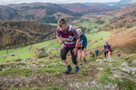 Stybarrow Dodd-560