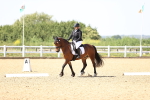 SBM_010047