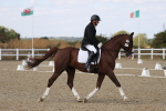 SBM_022086