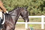 SBM_018687