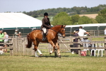 SBM_17709