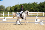SBM_009659