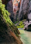 Prehistoric Passage