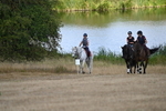 WJ6_8906