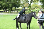SBM_46849