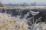 100_4855 - FIELDS OF SNOWYOULTHORPEE YORKS