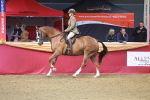 SBM_10633