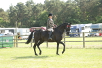 SBM_09294