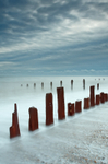 Pett Level Posts III