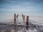 Minnis Bay portfolio