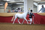 Class B - Junior Champ 11 to 16 Years portfolio