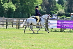 SBM_17569