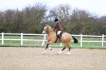 SBM_007581