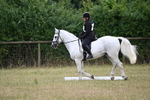 WJ6_2493