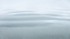 RISING TIDE - SALMON COVE