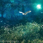 Midsummer Moonlight