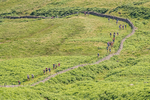 Wasdale-204
