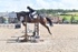 BPP_6861