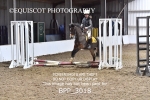 BPP_3018