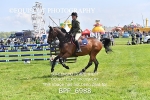 BPP_6988