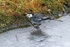 20120212-_MG_8696-954