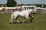 SBM_07631