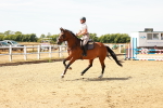SBM_003279
