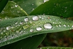 DSC00705