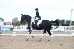 SBM_04966