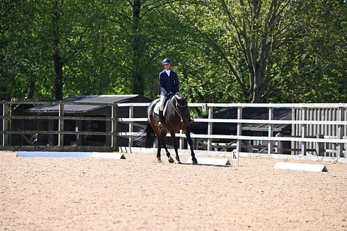 WJ6_8888