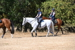 WJ6_8357