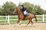 SBM_006337