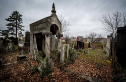 Abandoned Jewish Cemetery Grave