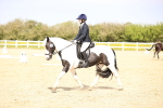 SBM_007884