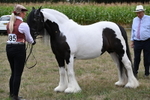 WJ6_5486