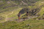 Buttermere Horseshoe-68