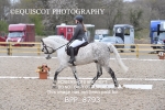 BPP_8793